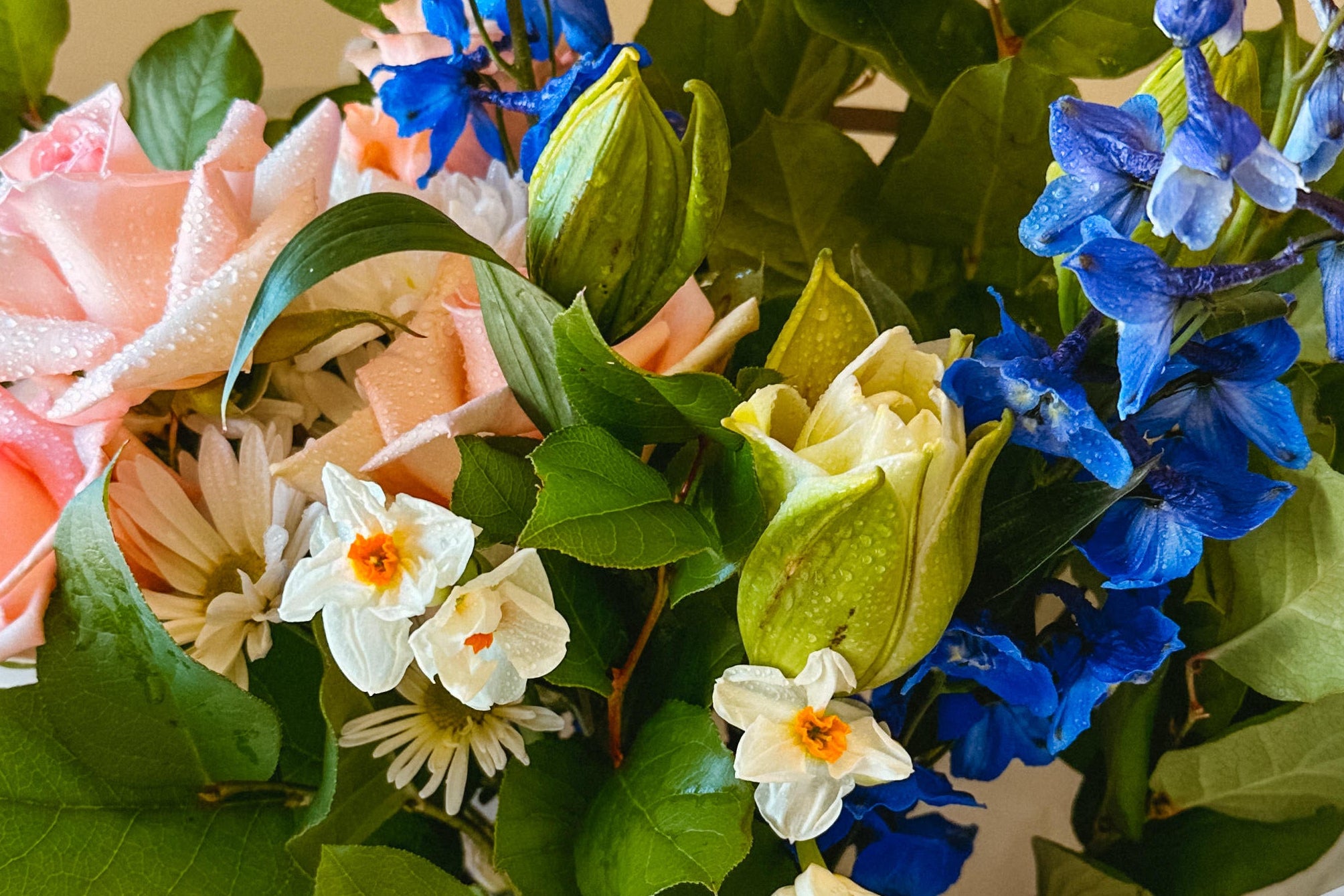 Flower Delivery in Winnipeg - Designer's Choice Arrangement