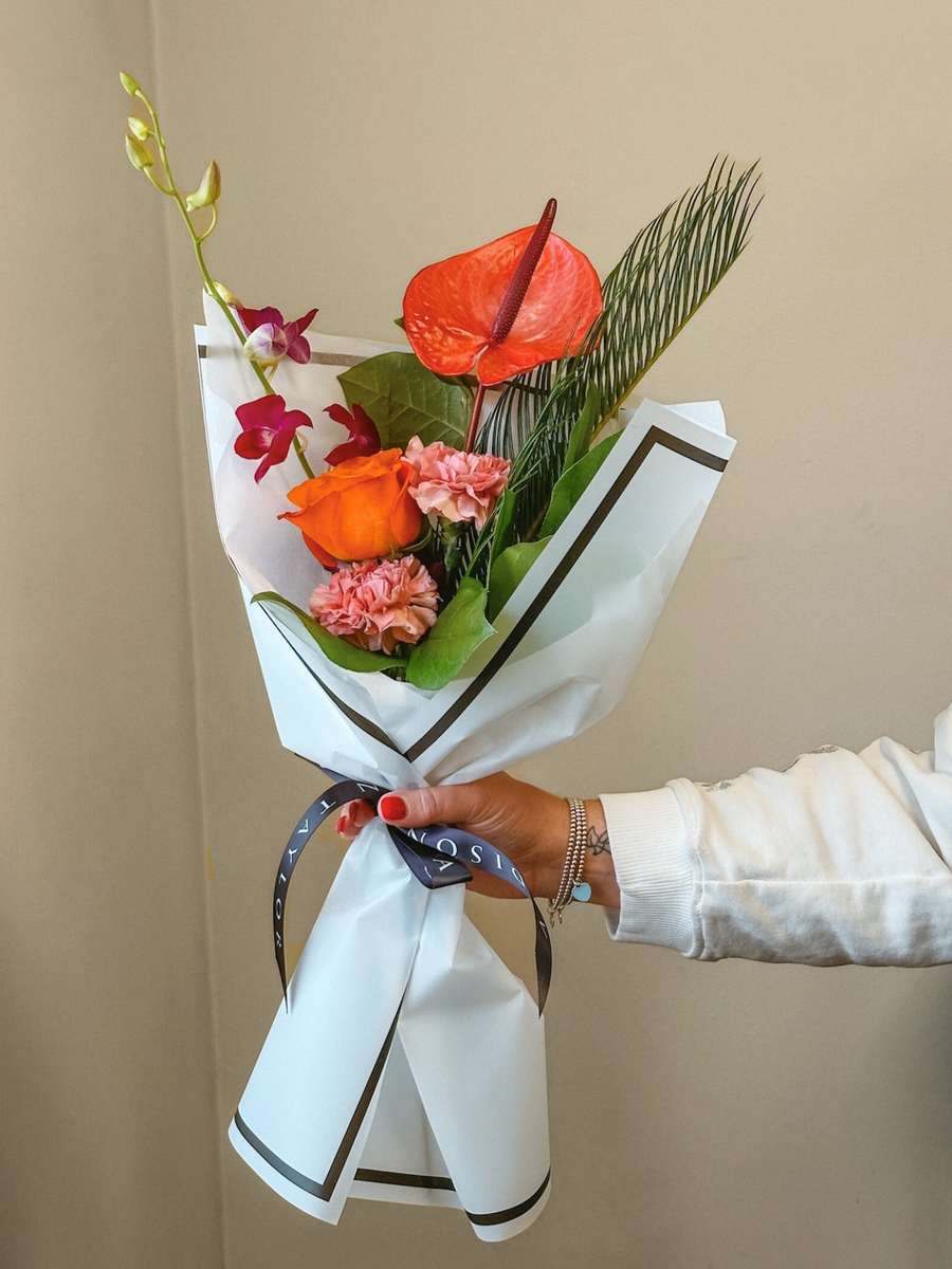 Black Friday Special: Tropical